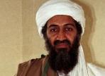 Osama's Cause Continues